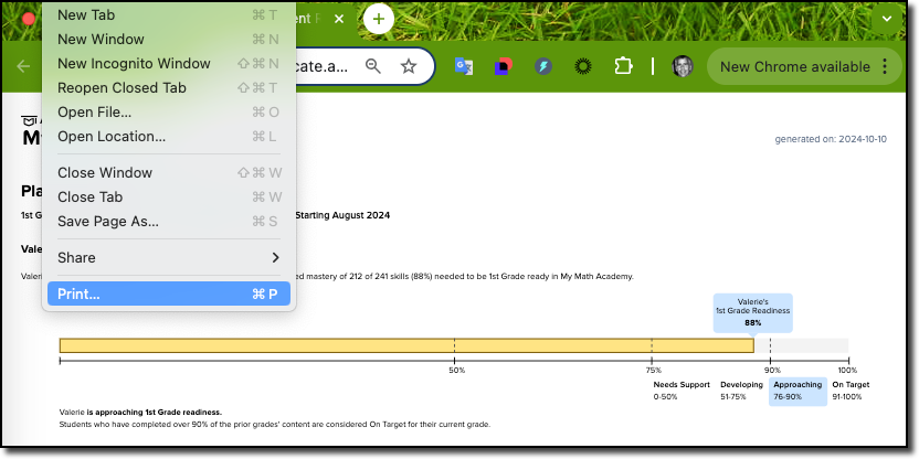 print placement report browser menu.png