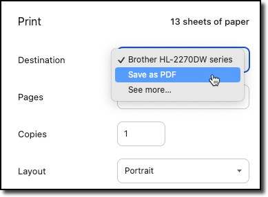 save as PDF.png