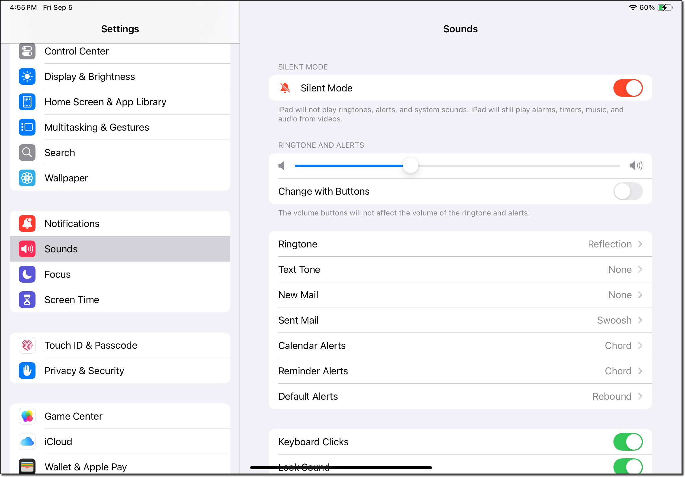 iPad Sound Settings.jpeg